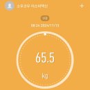 [13일차] 소우코우 이소비텍신 다이어트 내돈내산 날것 그대로 후기