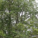 Fred Gingell Park 이미지