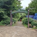 대원사계곡 이미지