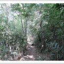 도계체육공원 이미지