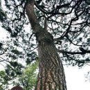 이천터미널 사거리 이미지