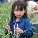 소곡금자정마을 이미지