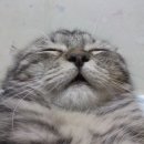 마노 아 마노 이미지