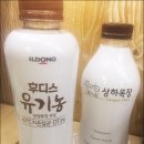 티티팬