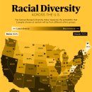 지도: 미국 주별 인종 다양성 이미지