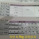 오오다이어트 이미지