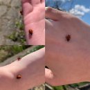 창민농장 이미지