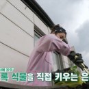 프레쉬프룻 이미지