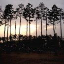 달빛자락 이미지