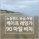 탄비치 (tann beach) | 뉴질랜드 북섬 90 마일 비치 Ninety Mile Beach 투어 후기 #2