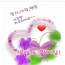 행복한하루