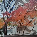 도당산성 | 식후 1시간 혈당 200 원인
