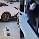 진한약국 이미지