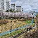 제8호 어린이공원 이미지