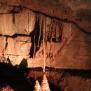 천곡황금박쥐동굴 이미지