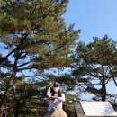 [윤곰여행] 충북 단양 | 월악산 제비봉 등산 후기 &amp; 근처 카페,맛집 추천