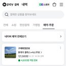 스테이원 | 제주도 요가 스테이 호아요가 숙소 숙박 원데이 후기