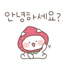 보석관광(주) 이미지