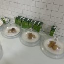 주식회사 아이소리산후조리원 | [화성 동탄 산후조리원] 아이소리산후조리원 13박 14일 이용후기