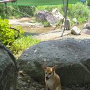 해밀2농장 이미지