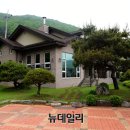 셀프쉼터 뉴데일리