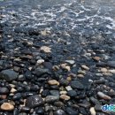 추봉도바다펜션 이미지