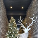 인앤박 번역행정사 사무소 이미지