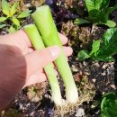 일명농장 이미지