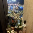 주야 | 수원 성대 율전동 하이볼 마라크림짬뽕 안주 맛집 술집 [주야] 내돈내산