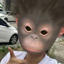 아침크린