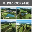 주식회사 엑스골프 이미지