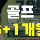 주식회사 더위드 이미지