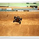 꿈꾸는 고래 이미지