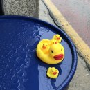 파란파도미술교습소 이미지