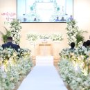 수지 기쁨의 교회 결혼식 세팅 후기 : 순백의 꽃길과 로맨틱한 신부대기실 연출