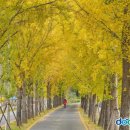 은행모텔 이미지