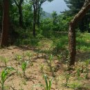 노루목농장 이미지