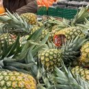 파인땡큐마트 이미지