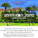 그린라인 이미지
