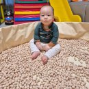 금마형제트럭서비스 | 아기 편백나무놀이 장난감 1년 사용 후기(24개월 ~ 35개월) : 노는법 아기발달