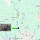 [ASF] 충주 소태면 야산서 ASF 감염멧돼지 폐사체 발견...이달 10번째 이미지