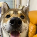 아루실업 이미지