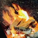 제주시 추천 오토캠핑장 야영장 카라반 관광농원 자연휴양림 체험장 글램핑장 산장 펜션 테마파크 위치...