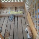 두일농장 이미지