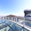 자연의 기억 이미지