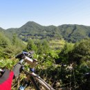 도사곡길 이미지