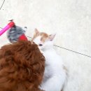 남창원동물병원 이미지