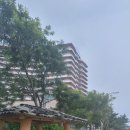 사우나산토리노 네이버블로그