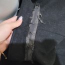 엘림세탁소 이미지