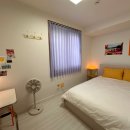 코난민박 이미지